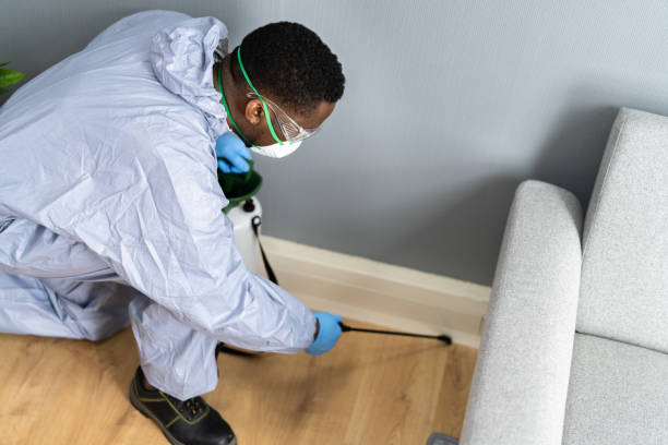 Real Estate Pest Inspections in Ringgold, LA